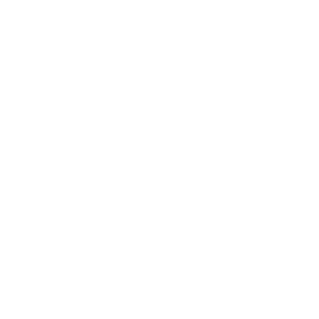 Icon Planung